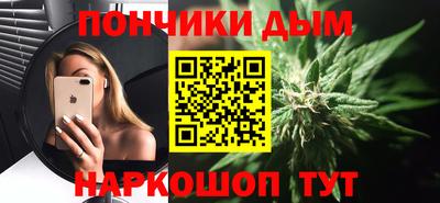индика Ногинск