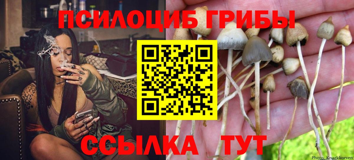 Видное  Псилоцибиновые грибы прущие грибы  Вход с VPN  купить наркотик  Псилоцибиновые грибы прущие грибы 